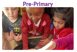 Pre-Primary